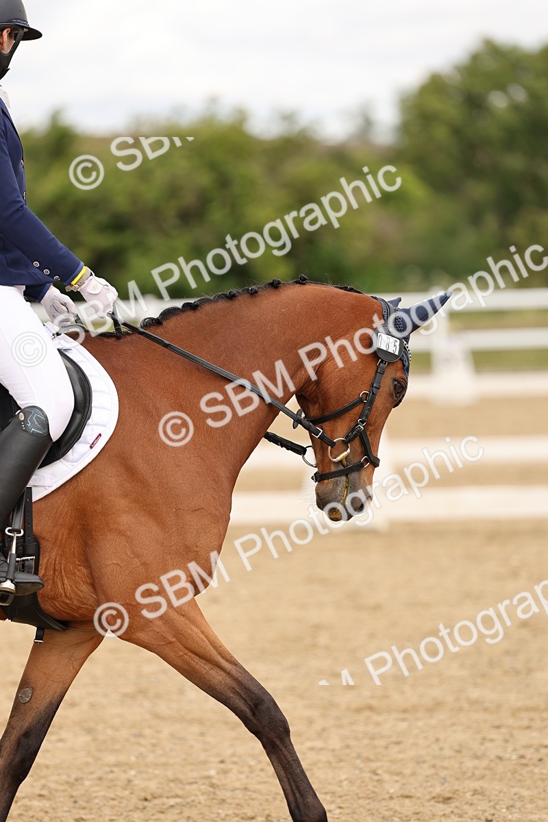 SBM_003415 - Class 6a - Novice 5 - 13.17-14.21