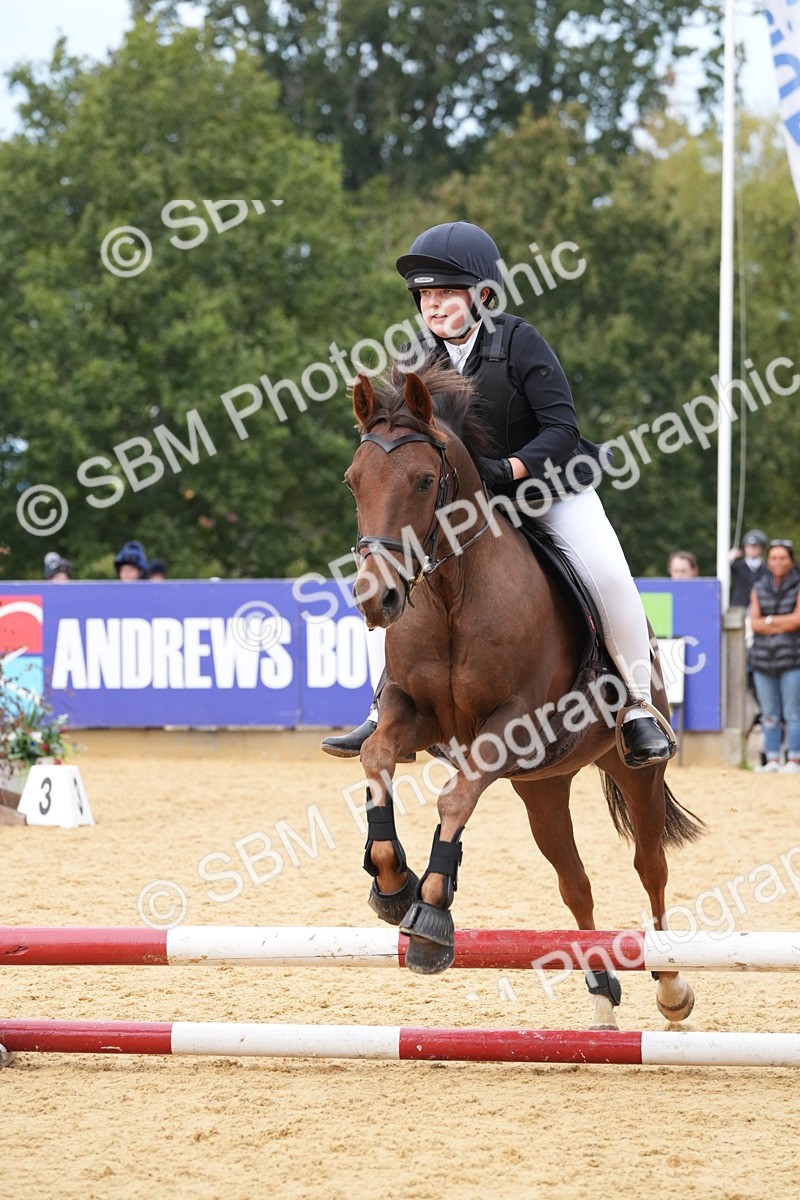 SBM_70703 - J3 - Mini Tour Junior Pony 40cm Championship