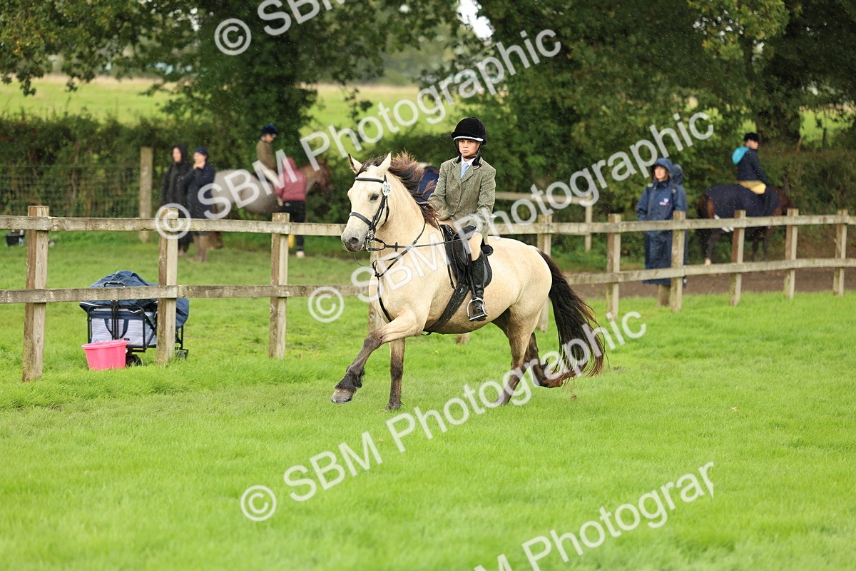 1I0A1502 - S32 - Mountain & Moorland Working Hunter Pony