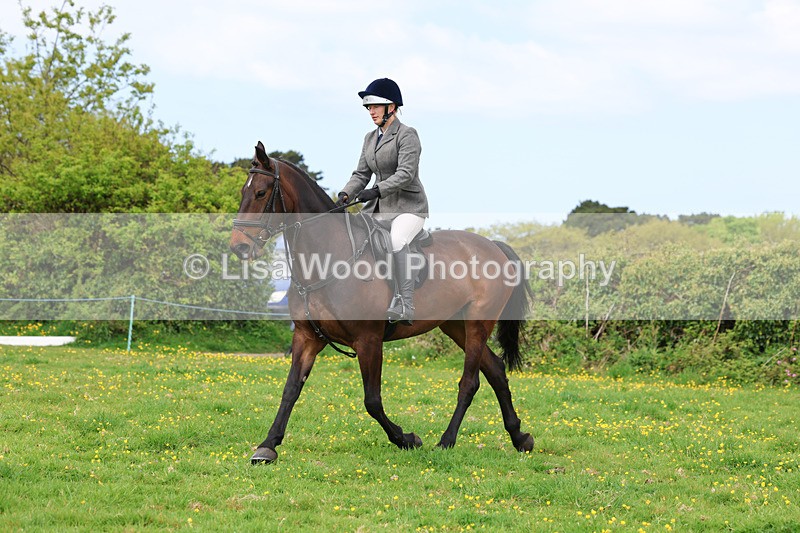 3E7A1233 - Class 7: Ridden Hunter Type