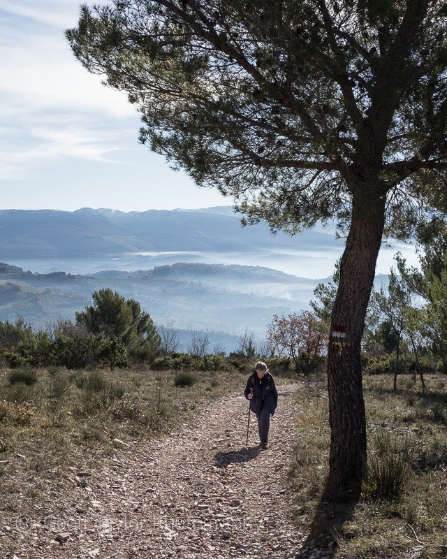 240455 Spello to Monte Subasio - Assisi Christmas