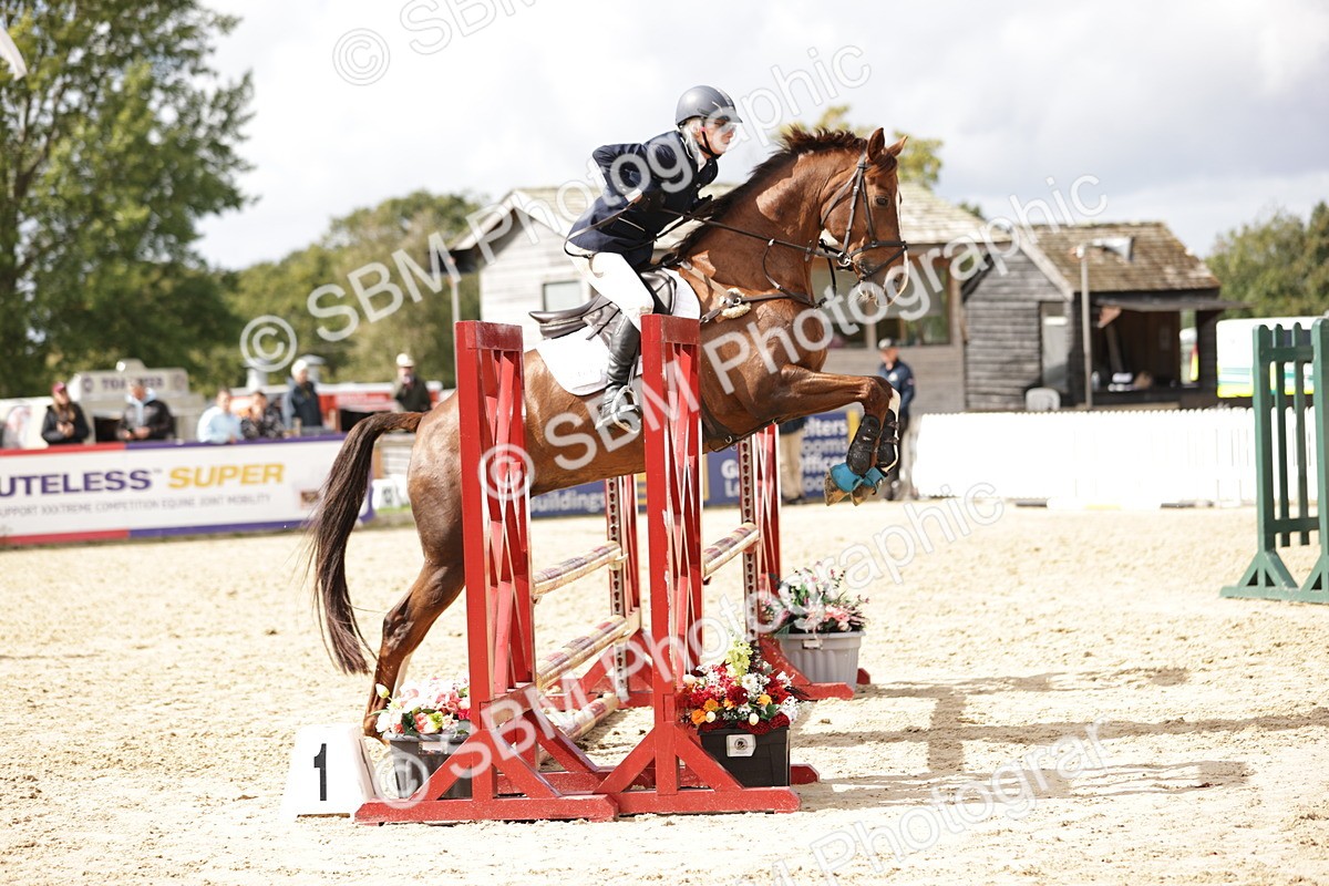 SBM_22382 - J59 - Clear Round 85cm