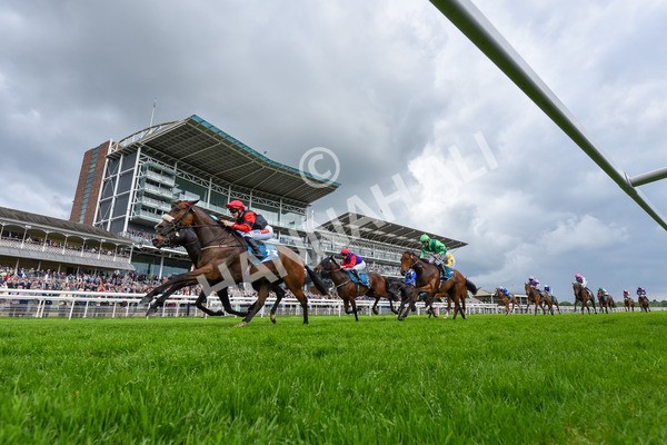 150524-Race 5-Diligent Resdev-5551 - Race 5 4.15pm Conundrum HR Consulting Handicap