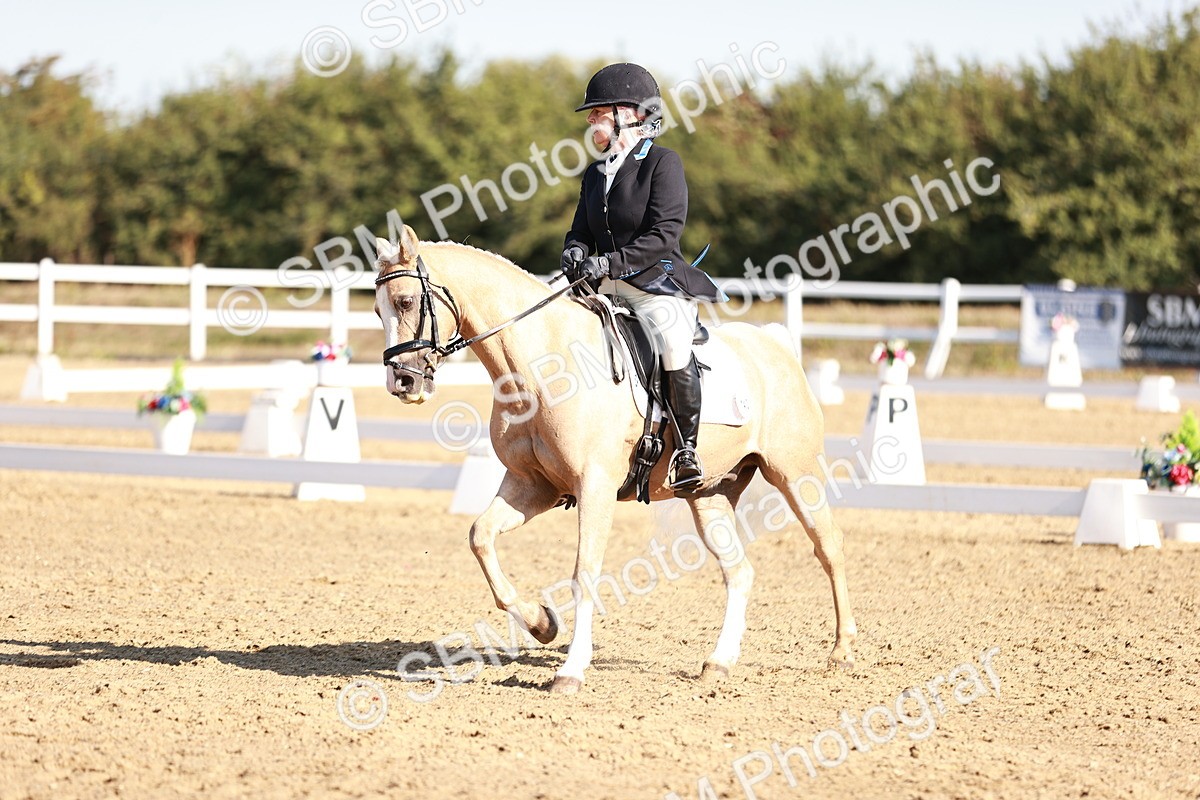 SBM_004347 - Class 12 - Novice 5 - 9.07-10.10