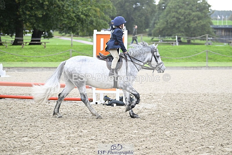 251005A-084827-02847 - Cls 02 GR 50cm