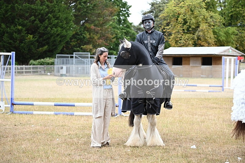 WJ6_9020 - Class 11 Fancy Dress