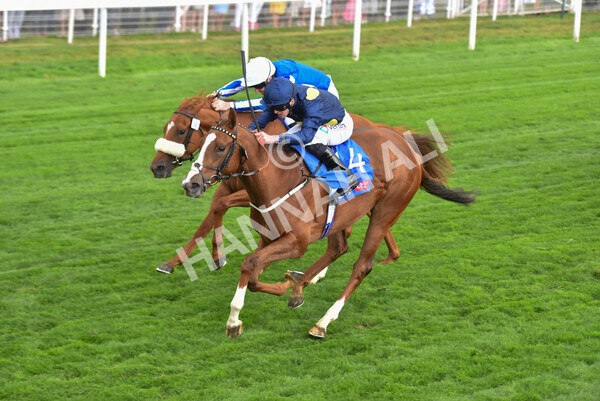 yr18082022r1-28 - Race 1 1.50pm Sky Bet Lowther Stakes
