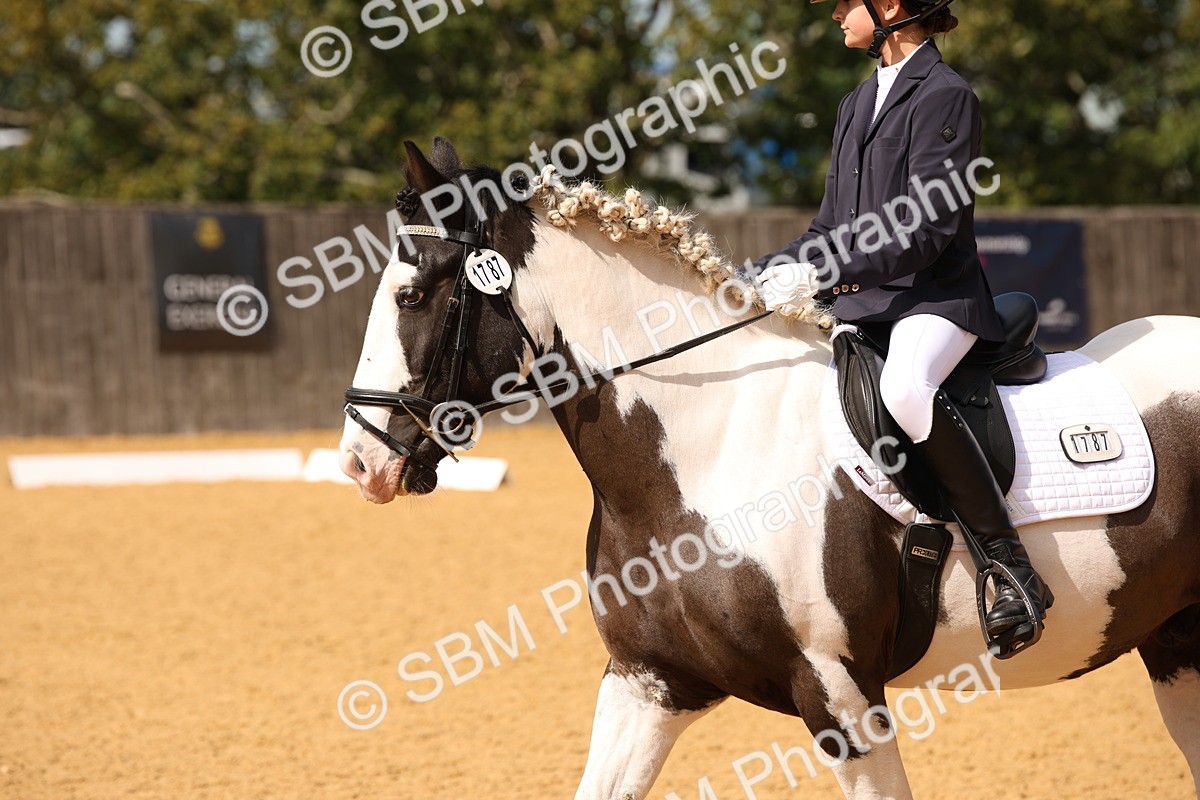 SBM_24079 - D5 - Small Tour Championship - Intro C