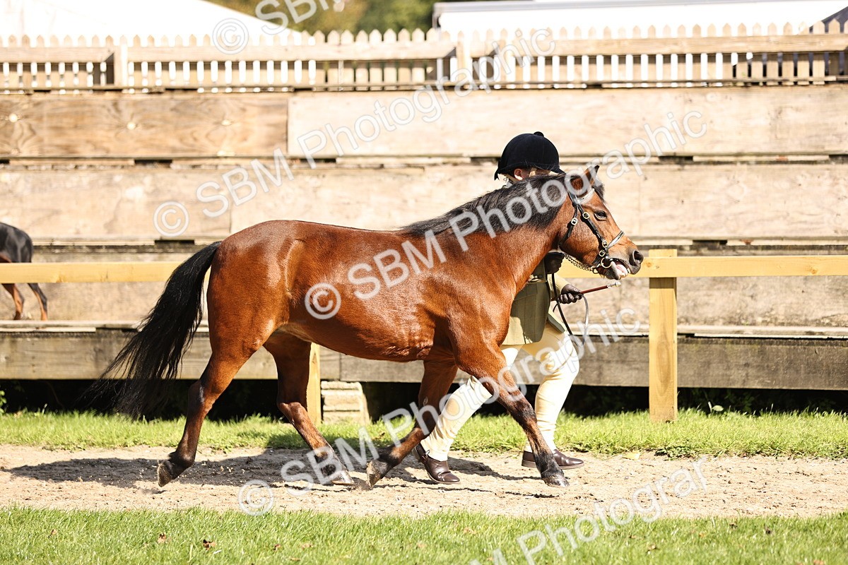 SBM_26137 - S5 - Novice & Newcomers In Hand