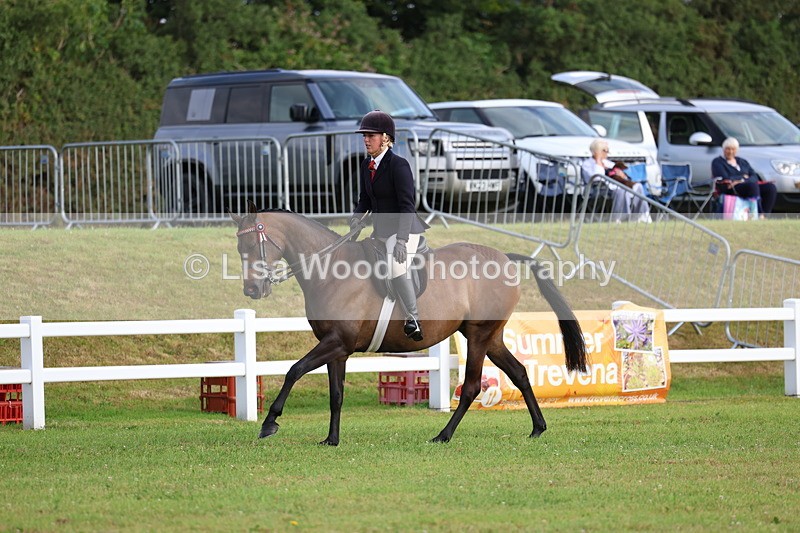 3E7A7800 - Class 1: Rising Star Small Hack/Riding Horses