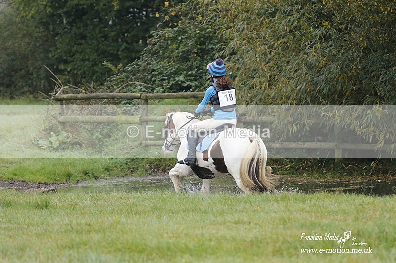 WWHT 171021 0474 - Novice Restricted (0.80m)  17/10/21