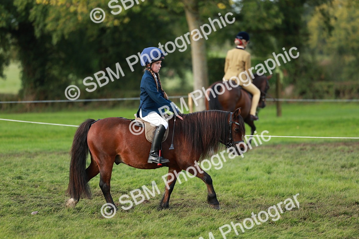 SBM_56279 - S39 - Starters In Hand Showing