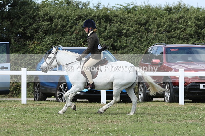JPP_2391 - Class 19: Working Hunter 60cm