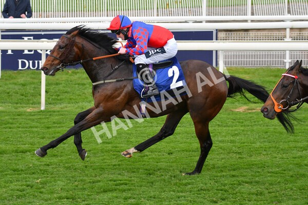 yr14052021r6-17 - Race 6 4.15pm Yorkshire Equine Practice Stakes