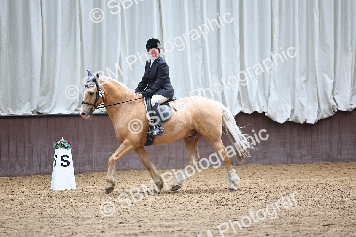 SBM_005391 - Class 3 - Novice 5