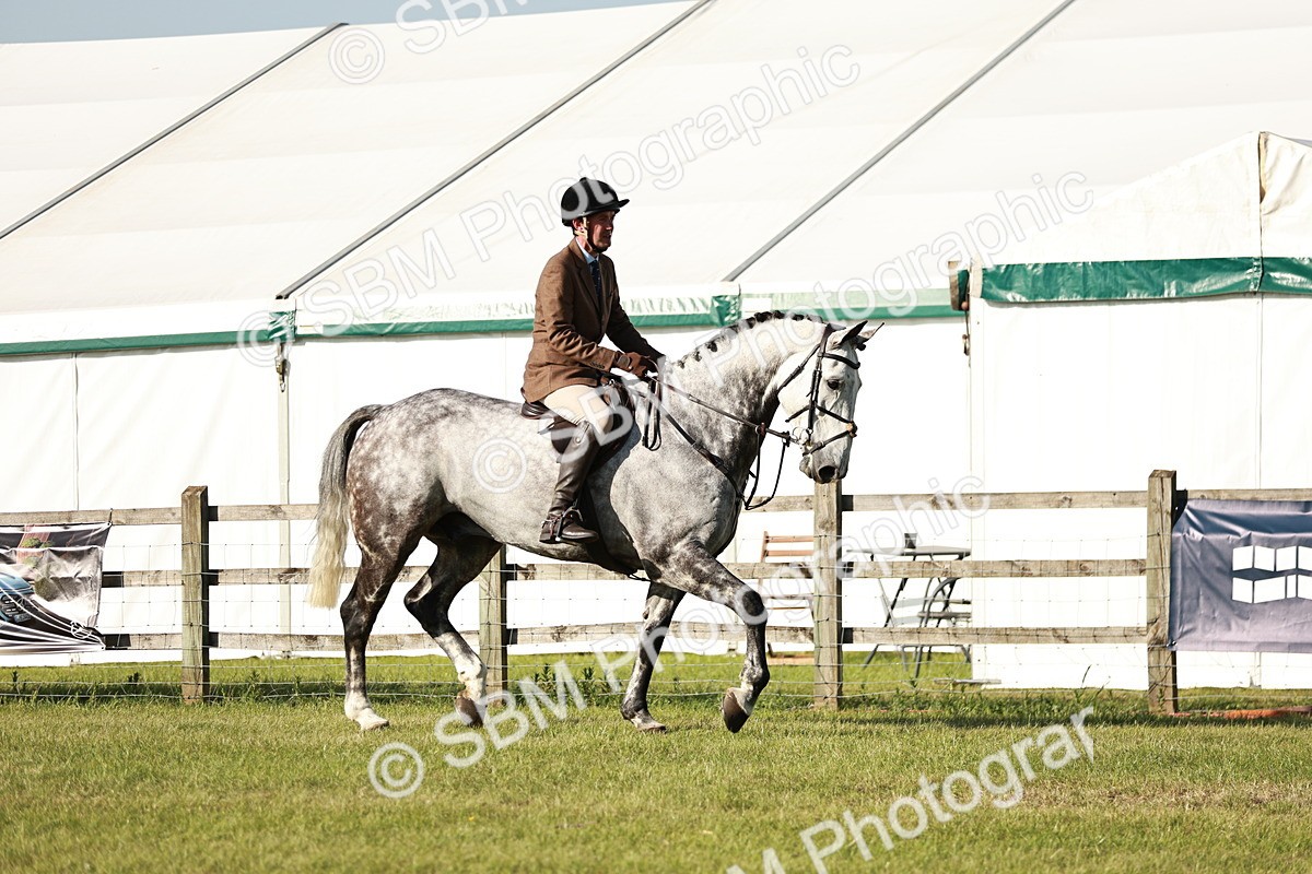 SBM_19978 - Class 115-116 - LIHS BSHA Rising Star Working Hunter & Show Horse