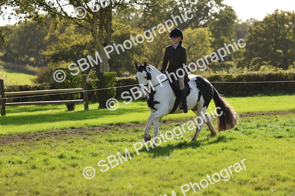 SBM_52460 - S13 - Pony Club Pony