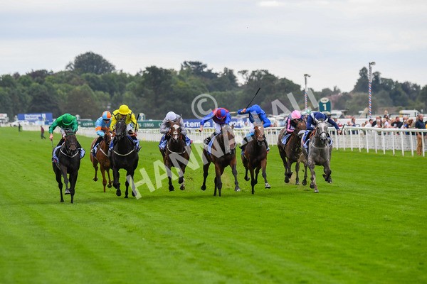 240823-Race 1-Relief Rally-0058 - Race 1 1.50pm Sky Bet Lowther Stakes