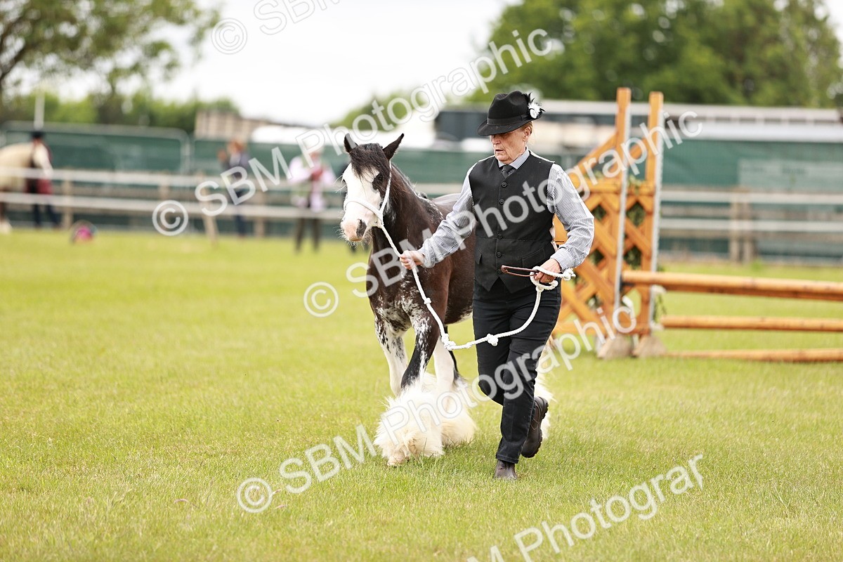 SBM_05970 - Class 39-41 TGCA In Hand and Ridden