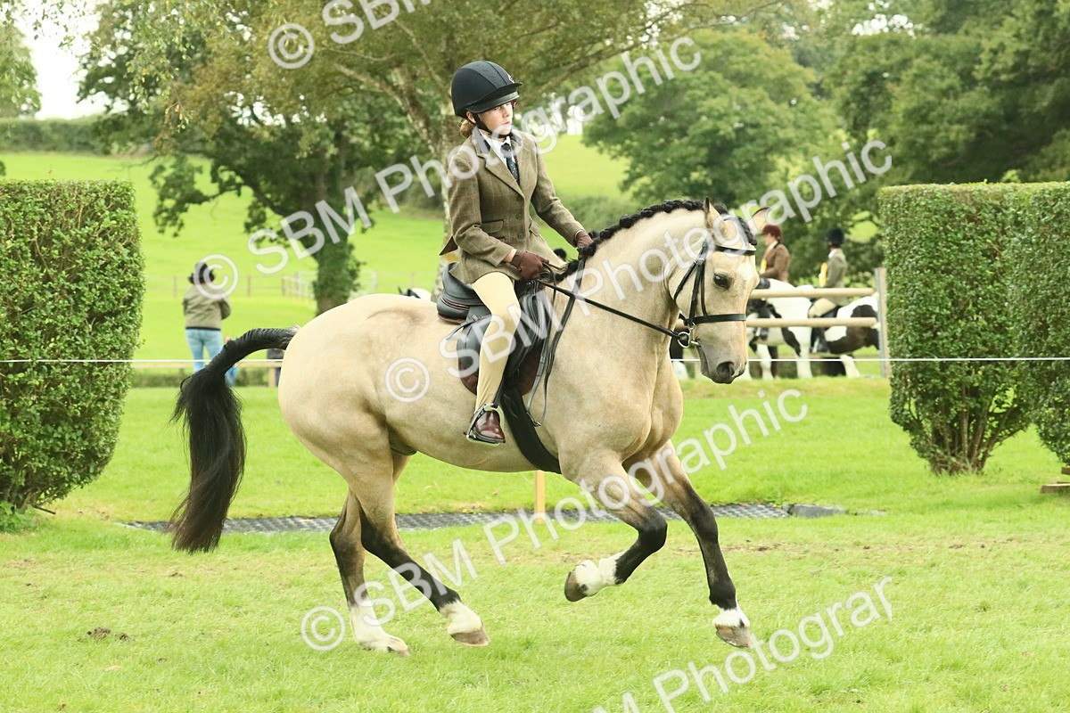 SBM_74005 - S 61 - Show Pony & Show Hunter Pony Ridden