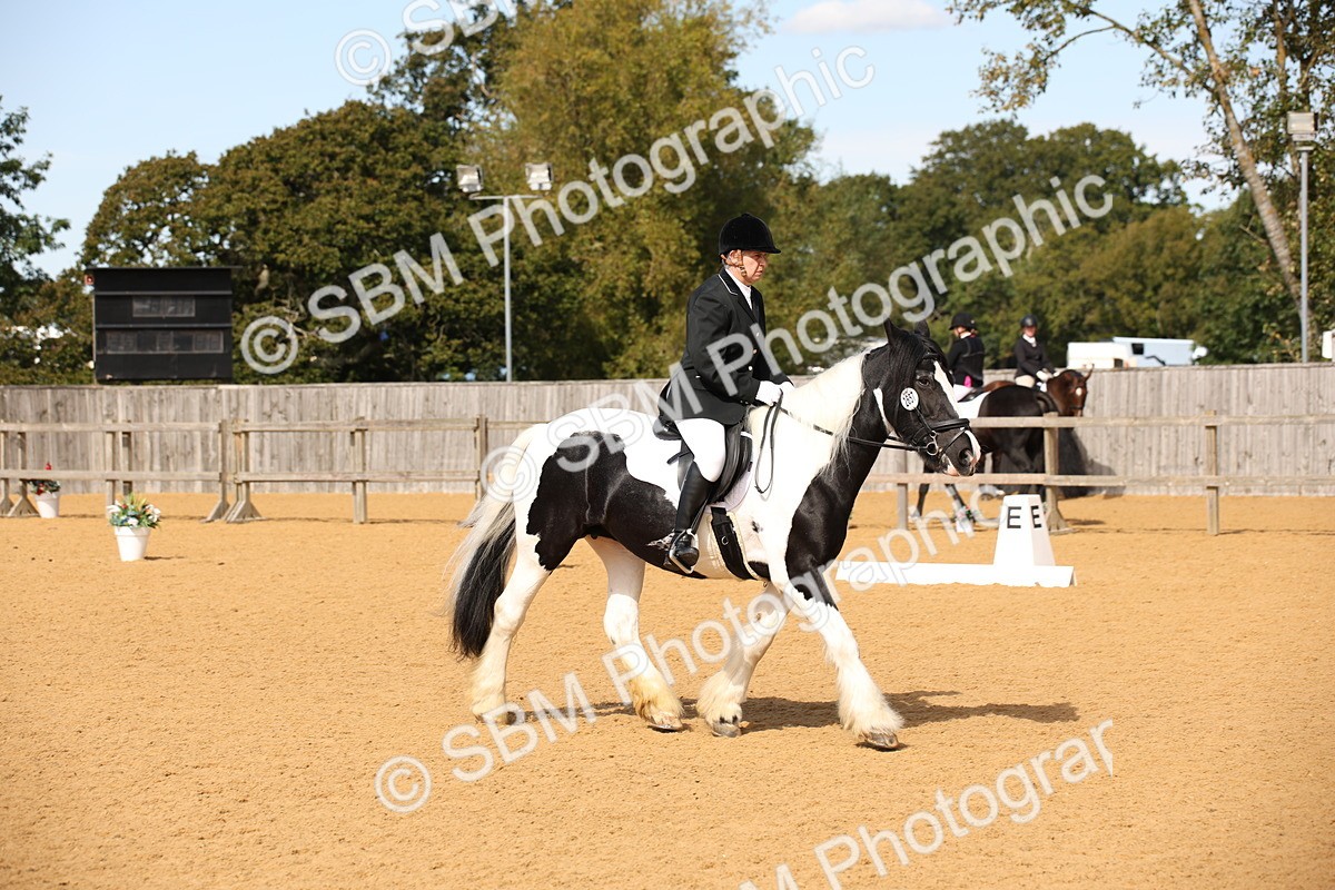 SBM_21833 - D5 - Small Tour Championship - Intro C