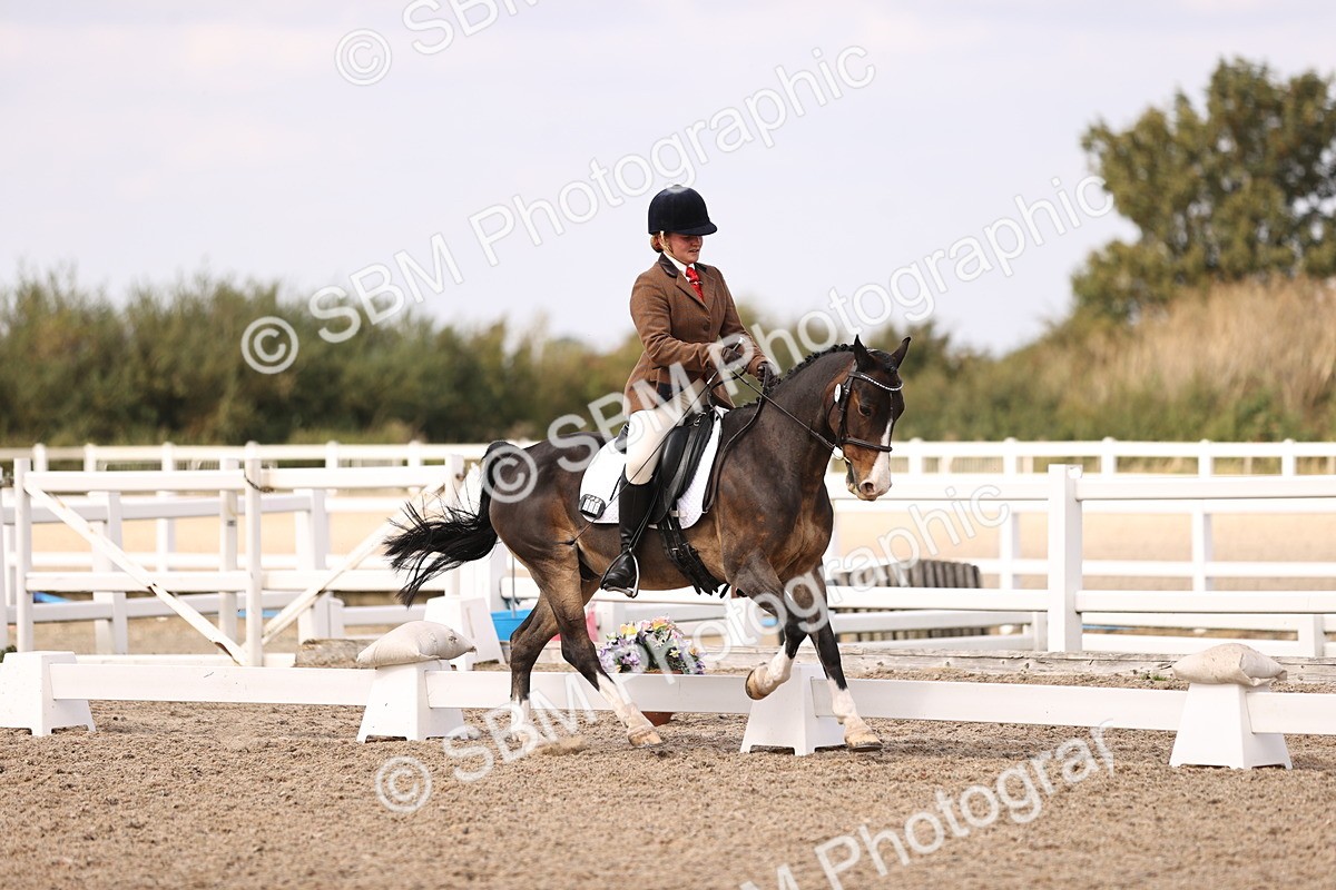 SBM_06056 - Class 37 Novice 5