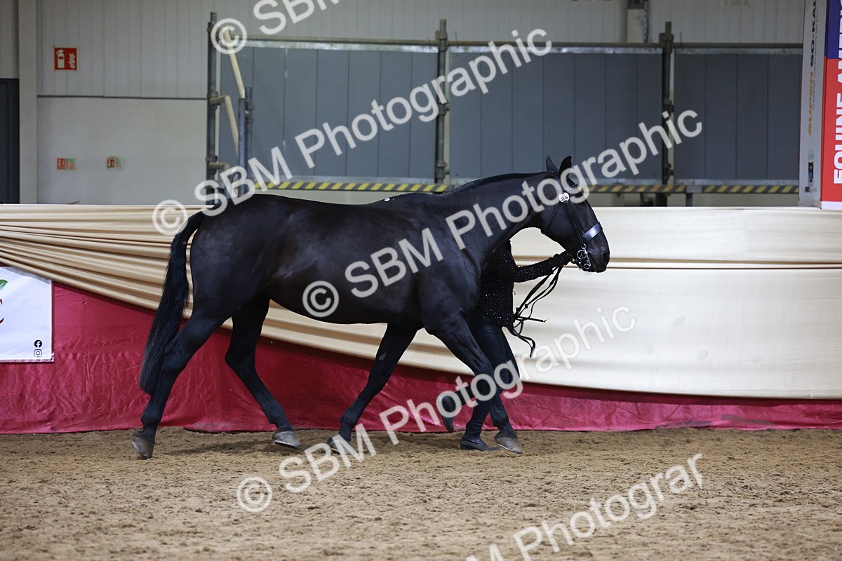 SBM_20315 - Class E - Best Turned Out Champ