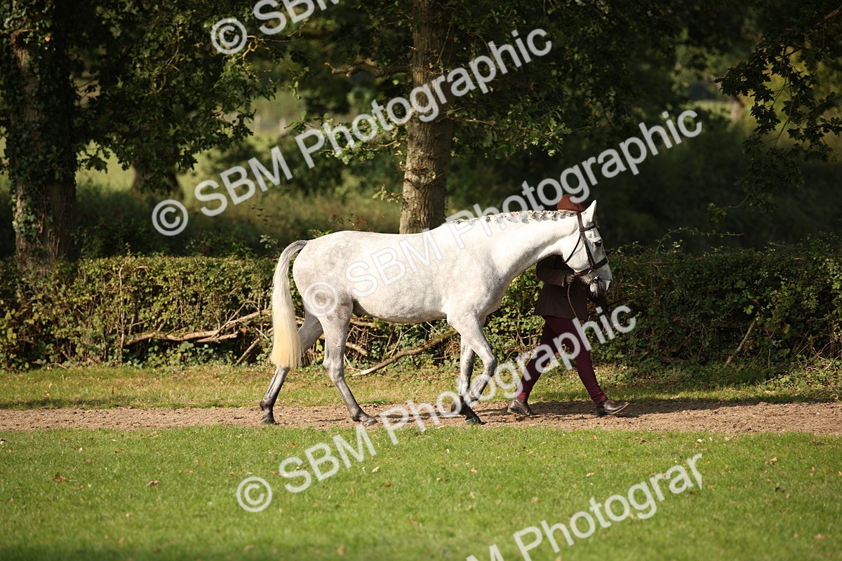 SBM_60047 - S53 - Hunter In Hand