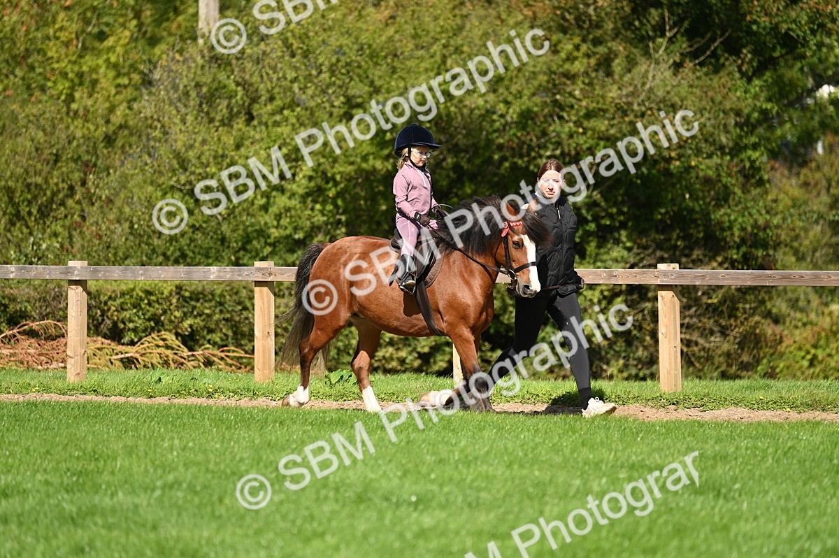 SBM_02812 - S3 - TSR Ridden Pony Showing