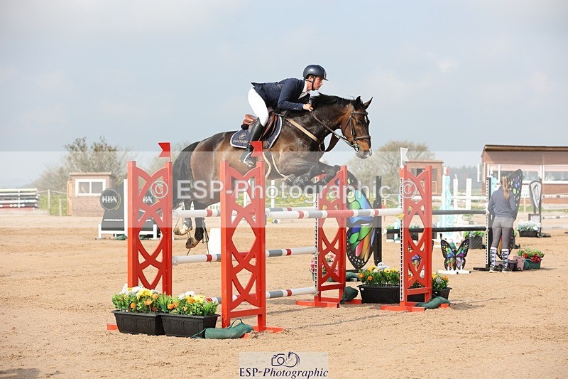 250424-103744-03135 - Cls 33 Young Horse 7yr old