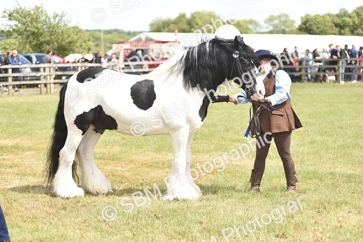 SBM_16125 - Class 117-122 - SSADL RIHS Qualifier