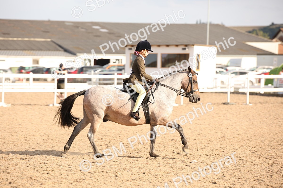 SBM_08836 - Class 12R Regional Ridden Pre-Vet