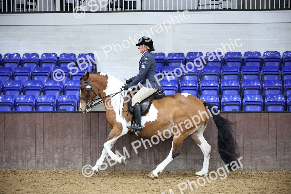 5K7A6082 - Class 48 - Ridden Mare