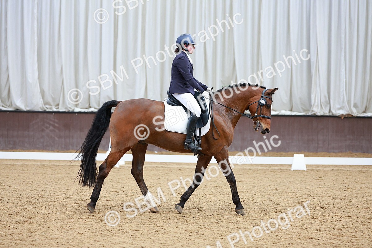SBM_003582 - Class 15-16-18 - Novice 3-Elementary 1-PYO