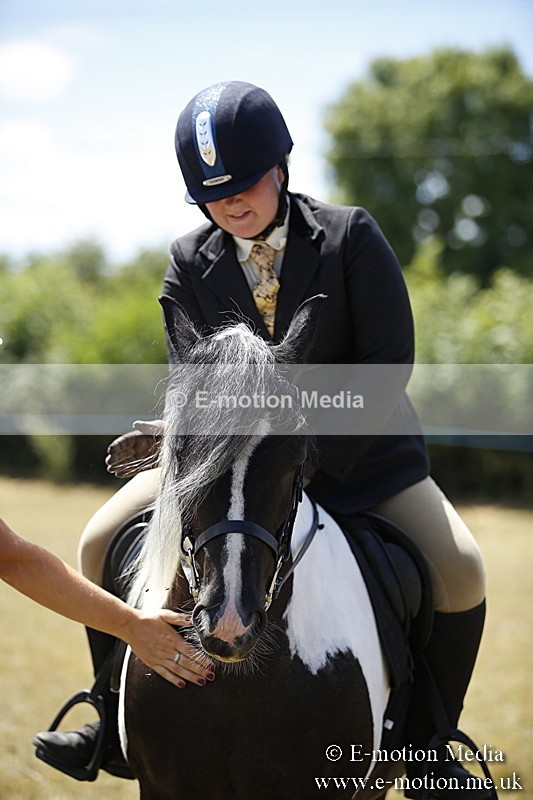 _C7A0001 - BVRC Show 2018 Ring 1