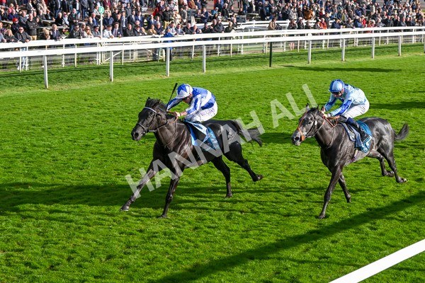 111024-Race 6-Fondo Blanco-2144 - Race 6 4.20pm William Hill EBF Novice Stakes
