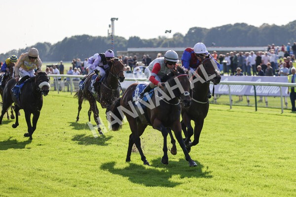 yr08102021r1-20 - Race 1 2.05pm Parsonage Hotel and Cloisters Spa Nursery Handicap