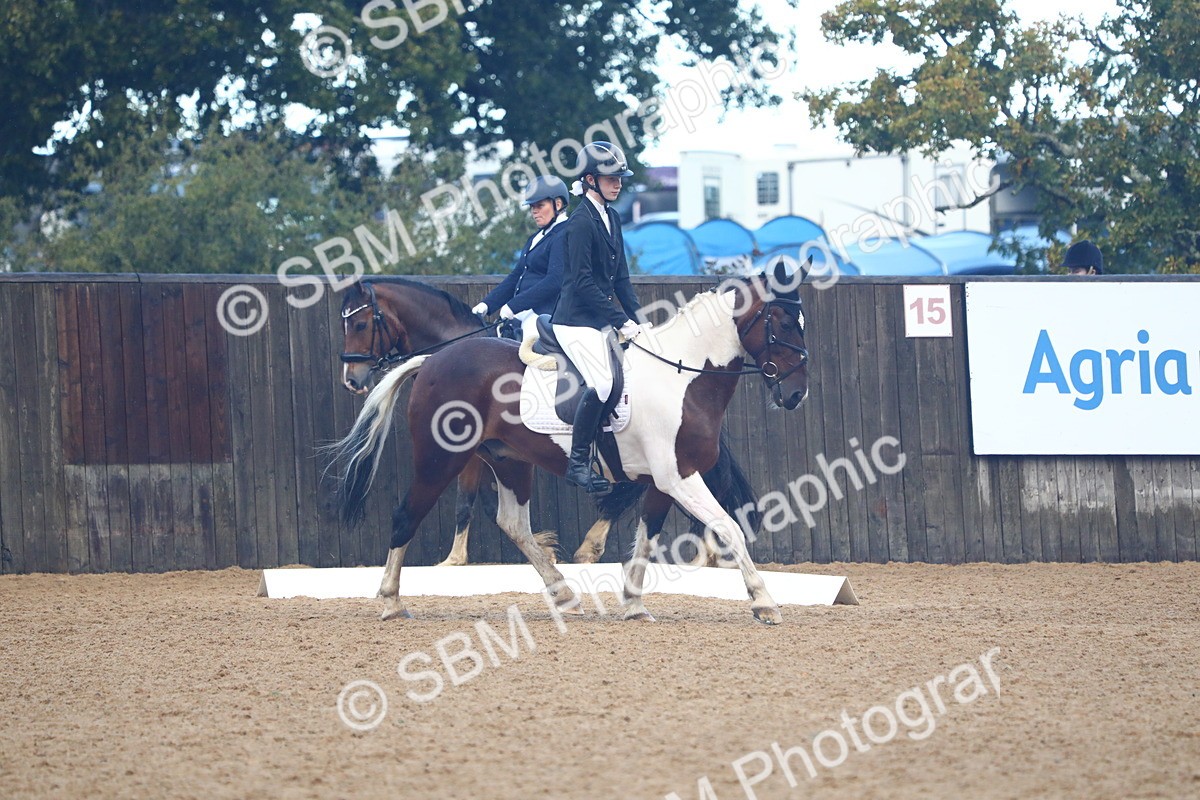 SBM_38881 - D21 - Junior Championship Intro 1