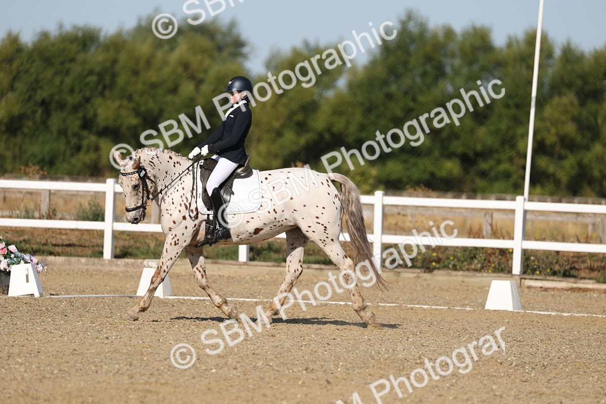 SBM_012670 - Class 1 - P5 Bronze 9.00.10.12