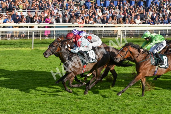 230923-Race 5-Vintage Clarets-6805 - Race 5 4.20pm Vickers.Bet Handicap