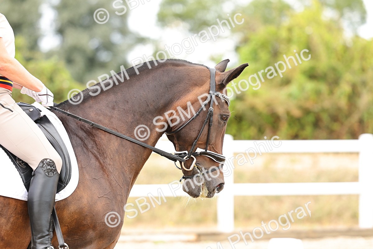 SBM_006388 - Class 7 - M3