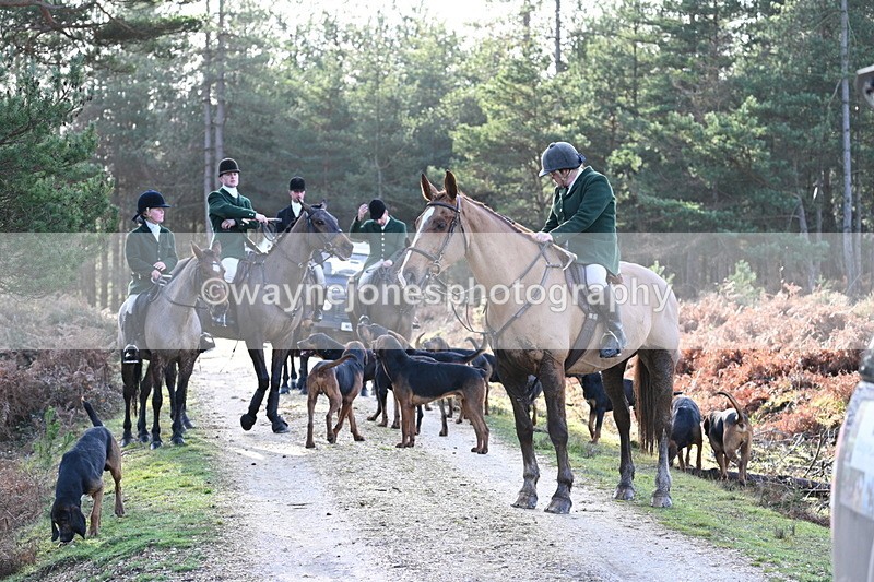 WJ7_7534 - Line 3 (no line 4 or 5)