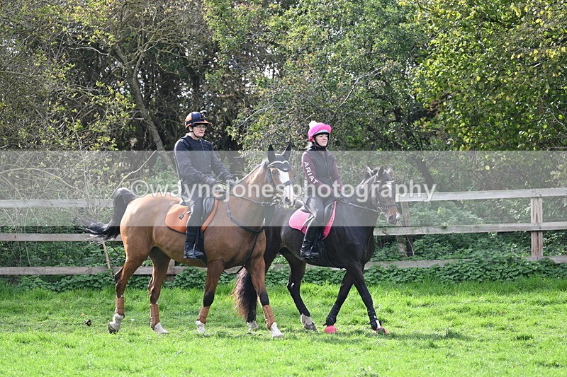 WJ7_0415 - Time 13:55 to 14:26