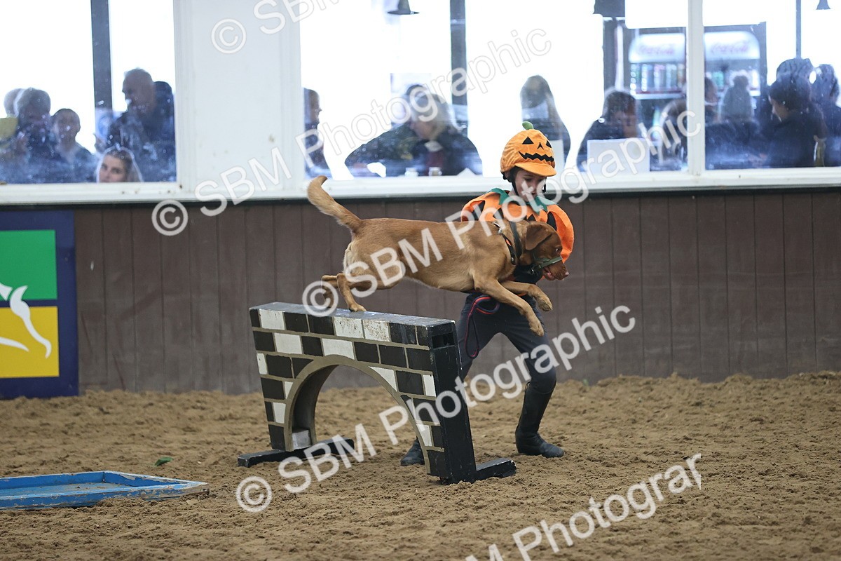 SBM_001372 - Class 3 - Horse & Hound 60cm