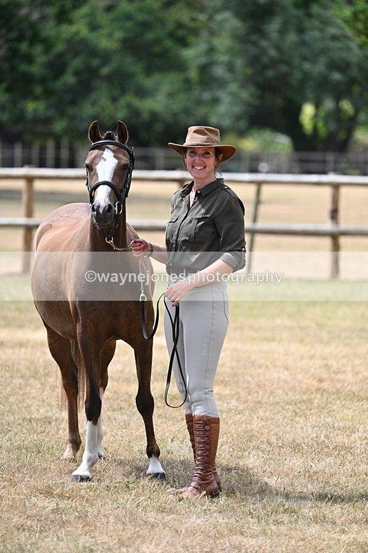 WJ7_2094 - Prettiest Mare Champs