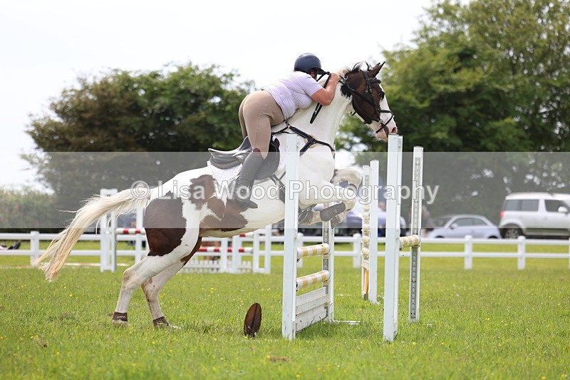 3E7A1841 - Class 13: Senior British Novice/90cm open