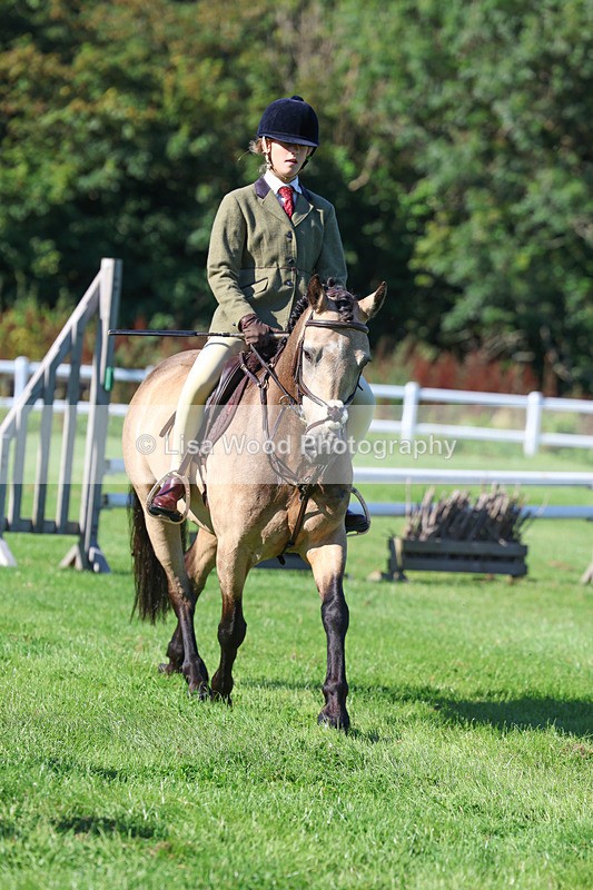 3E7A7752 - Class 2: Open Working Hunter pony