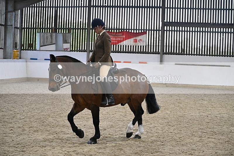 WJ7_3974 - Class 17 Ridden Cob