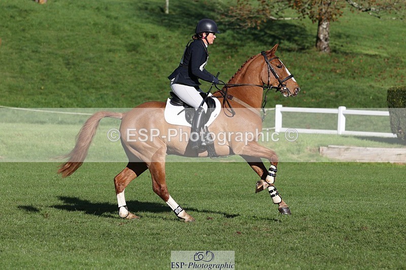 231022-103205-24588 - 606-GOLDEN.HEART.BREAKER-Emily.R.Vincent-TrotUp+SJ