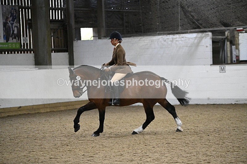 WJ7_4026 - Class 17 Ridden Cob